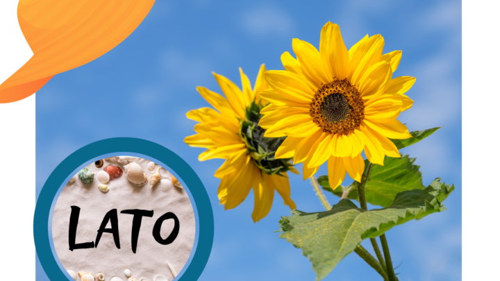 Lato
